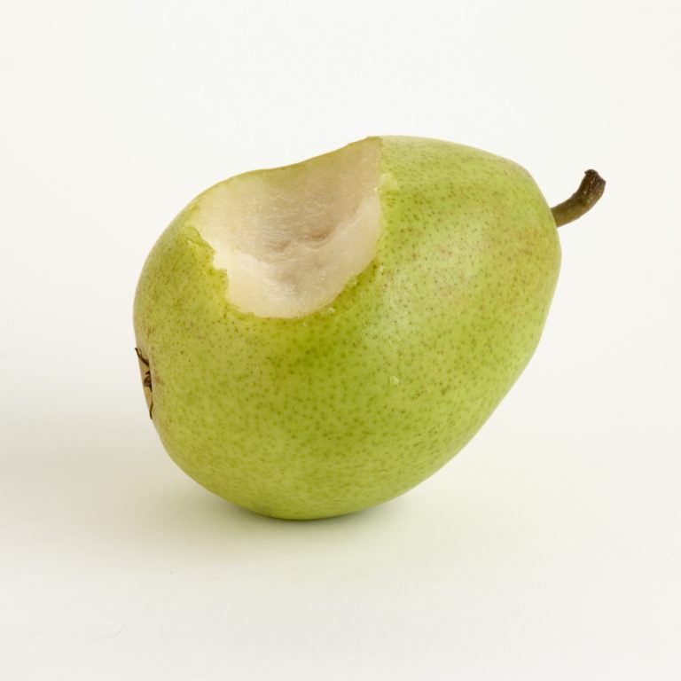 Anjou bite