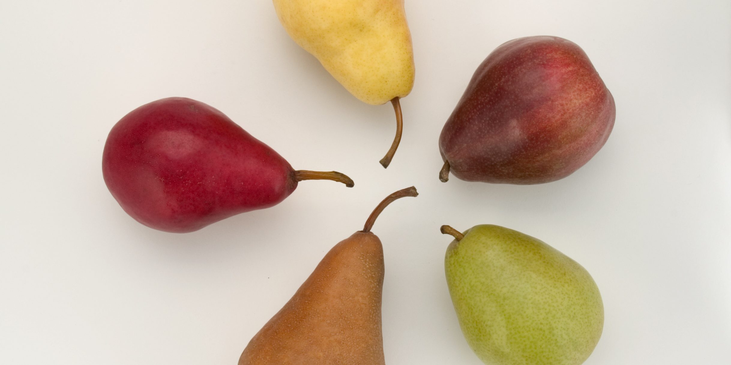 Variedades de peras americanas – USA Pears