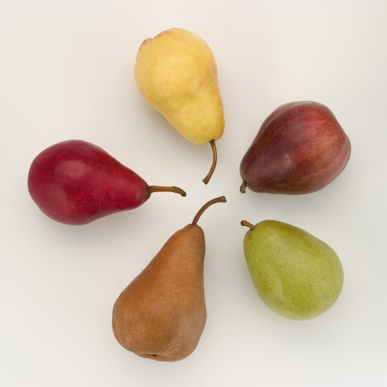 Variedades de peras americanas – USA Pears