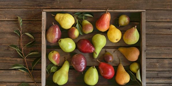 usapears