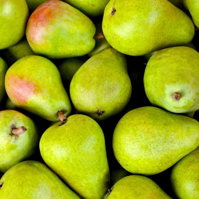 fruit-1534494_1280