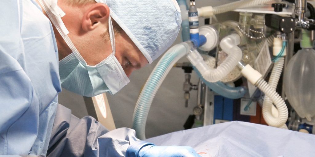 adult-ambulance-care-263210-1024×802-1