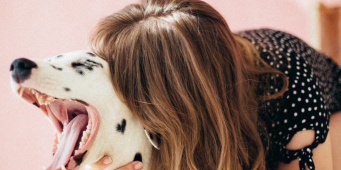 beautiful-canine-cute-1390075-683×1024-1