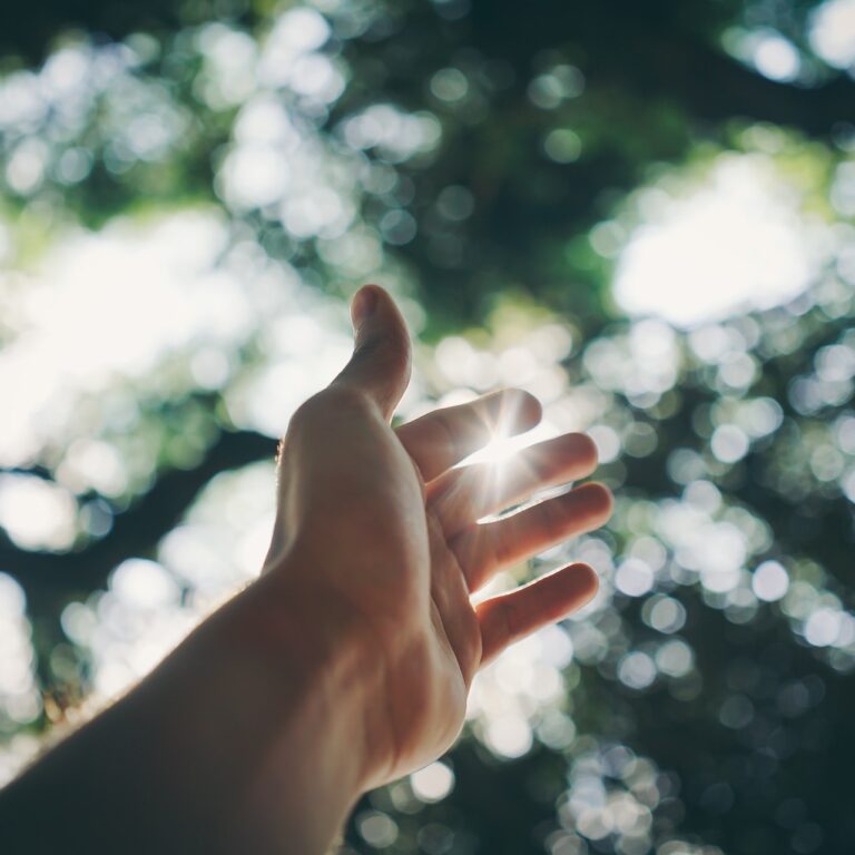 pexels-ricardo-esquivel-1654698 – Divinitè Nutricosméticos lança Vitamina D3