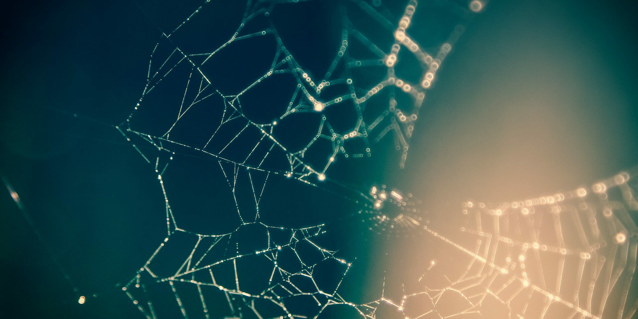 networking networking