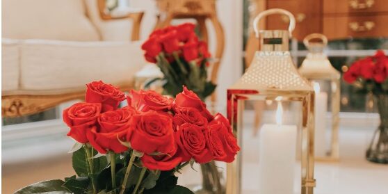 Colline de France – romance