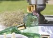 Wild Vetiver: Elegância Indomável de Creed
