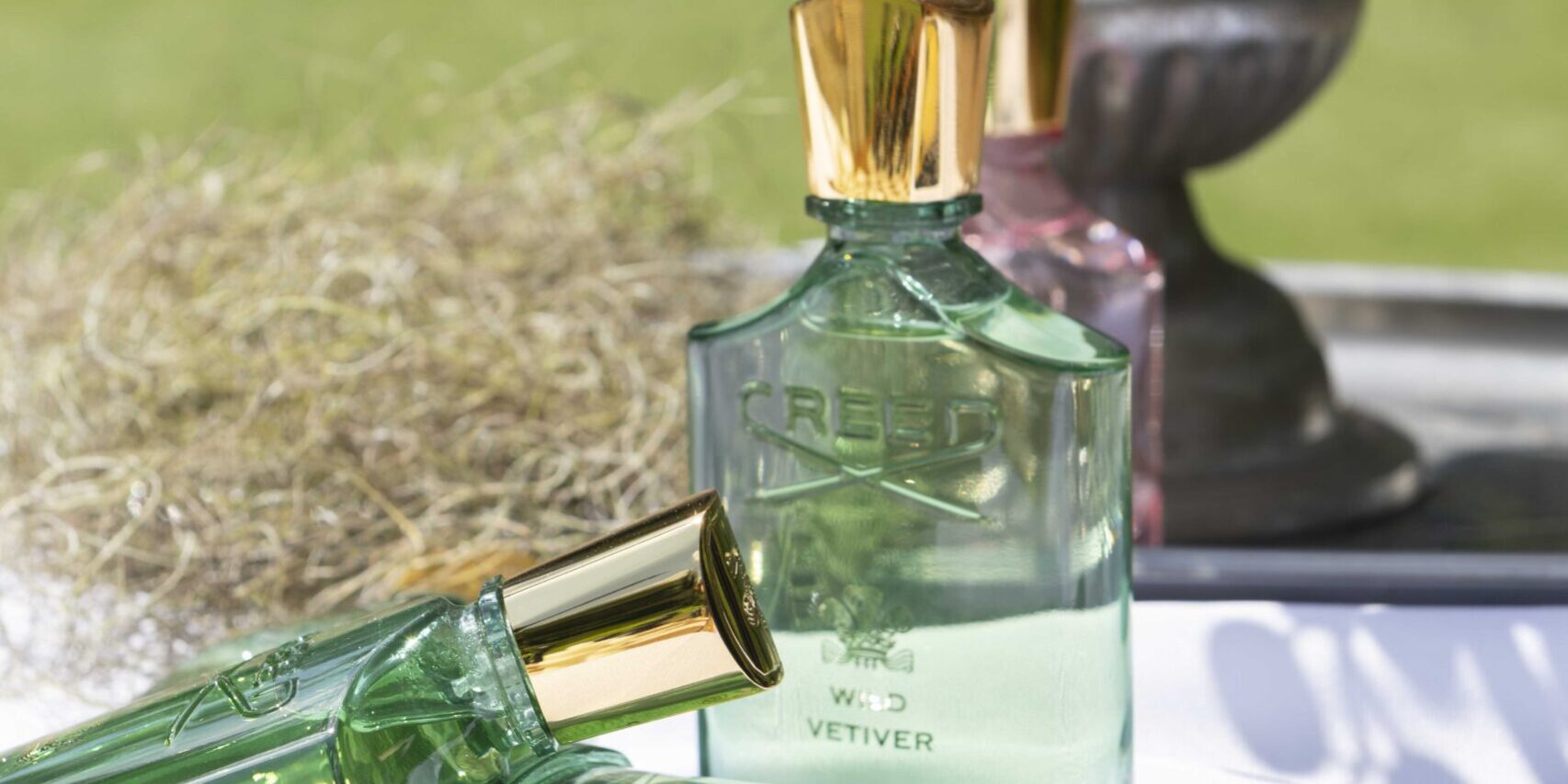 Wild Vetiver: Elegância Indomável de Creed